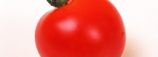 Recettes à base de Tomate