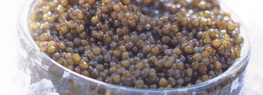 Recette caviar de la mer caspienne