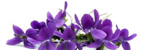 Recette violette